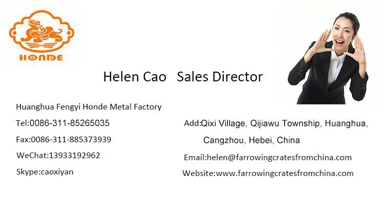 contact contact