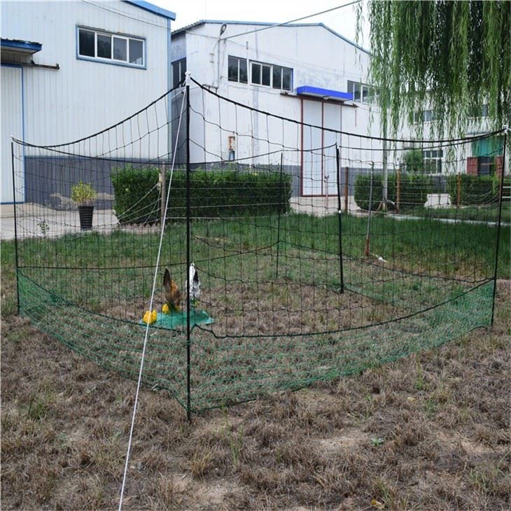 Chicken Liver Netting