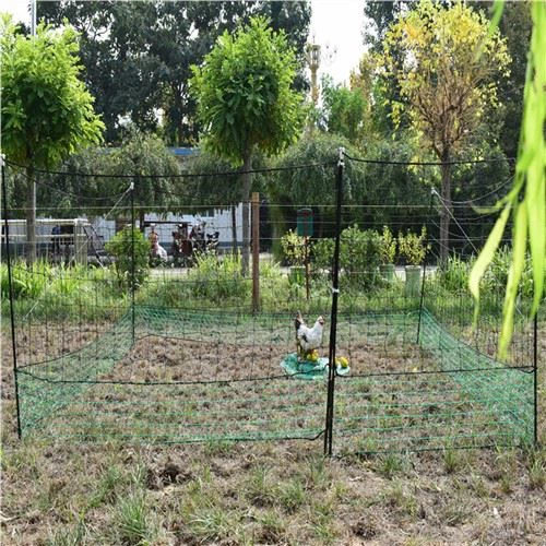 Vázaná síť z drůbeže